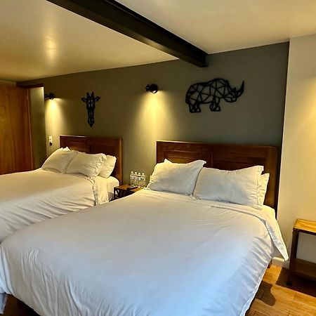Hotel Casa Raffaello Meksyk Zewnętrze zdjęcie